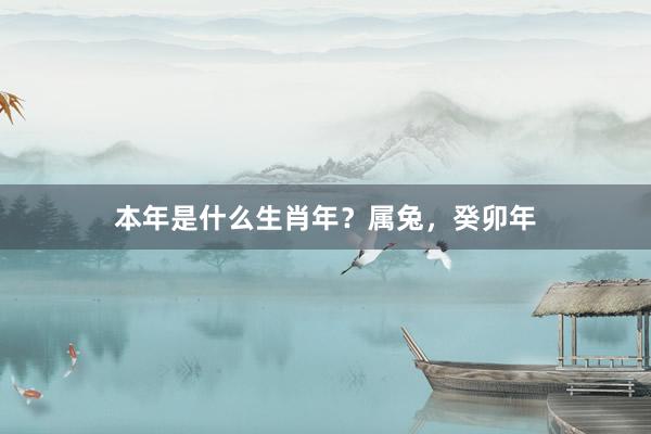本年是什么生肖年？属兔，癸卯年