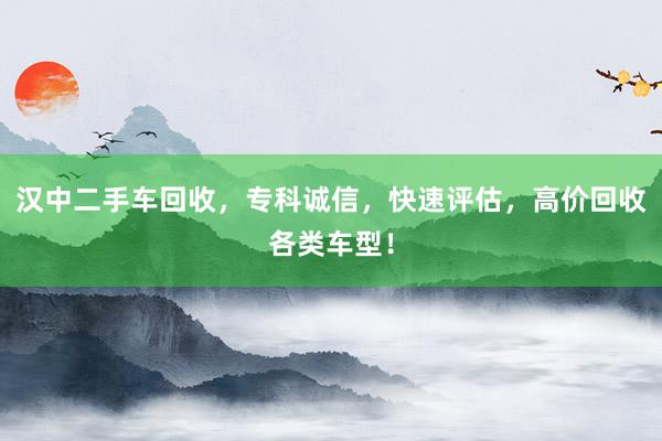 汉中二手车回收,专科诚信,快速评估,高价回收各类车型!