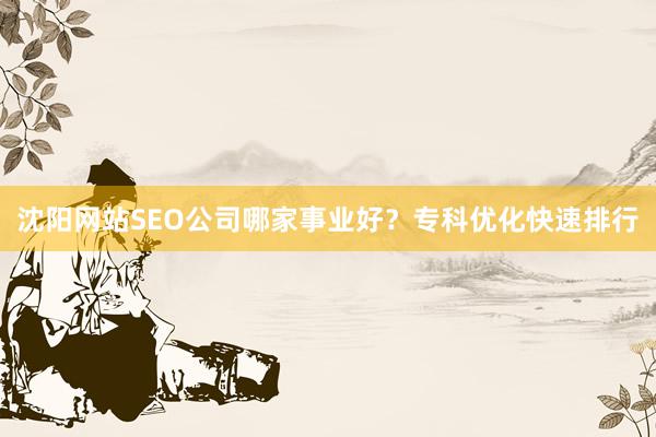 沈阳网站SEO公司哪家事业好?专科优化快速排行