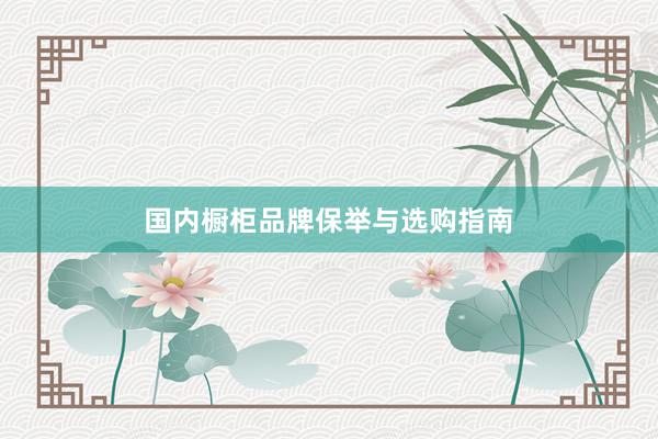 国内橱柜品牌保举与选购指南